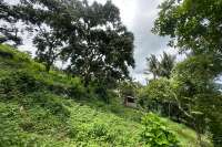 Land Hillside Kayuputih for Sale