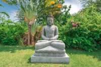 A Dream Villa with Beautiful Garden