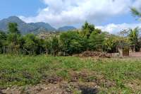 Freehold Land for sale in Pemuteran