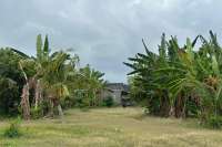 Beachfront Land West Lovina for Sale
