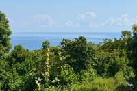 Ocean View Land for Sale in Pacung, North Bali