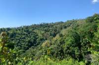 Sloping Land with Ocean & Jungle Views
