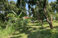 Landplot for Sale in Kaliasem