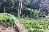 Panoramic Land for Sale in Kayuputih