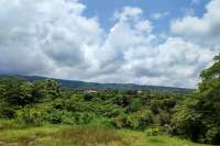 Prime Plot Parcels for Sale in Kayuputih
