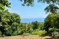 Ocean View Land for Sale in Pacung, North Bali