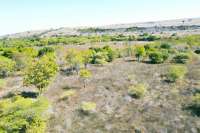 Huge Beachfront Land in Hamba Praing Sumba