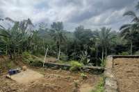 Tegallalang Land for Sale with Good View