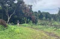 Panoramic Land for Sale in Kayuputih