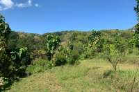 Sloping Land with Ocean & Jungle Views