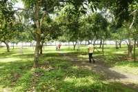 Prime Land for Sale - Development