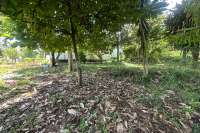 Hillside Plot in Kayuputih for Sale