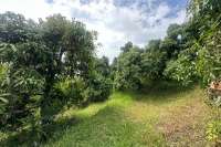 Cempaga Hillside Plot For Sale