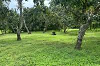 Prime Land for Sale - Development