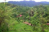 Hillside Land Tukadsumaga North Bali for Sale