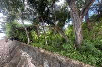 Rare Beachfront Land Close to Lovina