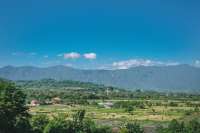 Hillside Land For Sale Bali