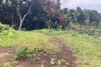 Panoramic Land for Sale in Kayuputih