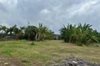 Beachfront Land West Lovina for Sale