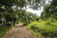 Cempaga Hillside Plot For Sale