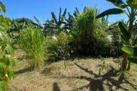 Land Plot in Kayuputih for Sale