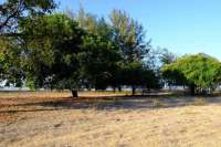 Beachfront Plots for Sale in Mondu
