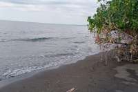 Absolute Beachfront Land For Sale