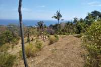 Cempaga Land For Sale Bali