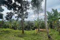 Tegallalang Land for Sale with Good View