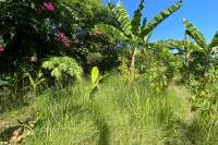 Land Plot in Kayuputih for Sale