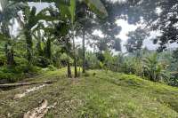 Tegallalang Land for Sale with Good View