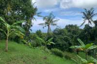 Land Plot in the Hill for Sale in Kayuputih
