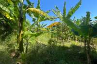 Land Plot in Kayuputih for Sale