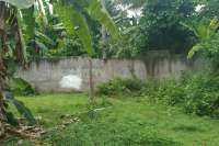 Land Plot For Sale in Bali