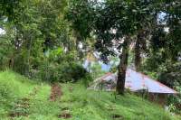 Land Plot in the Hill for Sale in Kayuputih