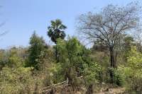 Hillside Plot with Ocean View