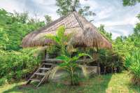 A Dream Villa with Beautiful Garden