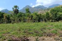 Freehold Land for sale in Pemuteran