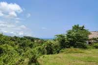 Prime Plot Parcels for Sale in Kayuputih