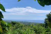 Land for sale in Dencarik Hill, Lovina