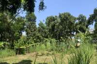 Landplot for Sale in Kaliasem