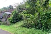 Land Plot in the Hill for Sale in Kayuputih