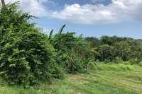 Riverside Land Plot Close To Canggu