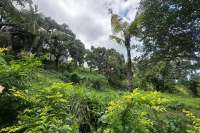 Land Hillside Kayuputih for Sale