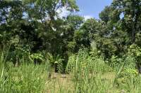 Landplot for Sale in Kaliasem