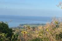 Cempaga Hillside Plot For Sale
