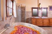 Villa Furnished for Sale in Central Lovina