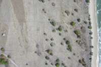 Seaside Prime Land near Wera Beach for Sale