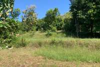Sloping Land with Ocean & Jungle Views