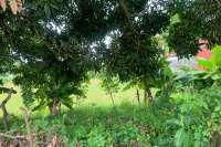 Strategic Plot in Lovina Central